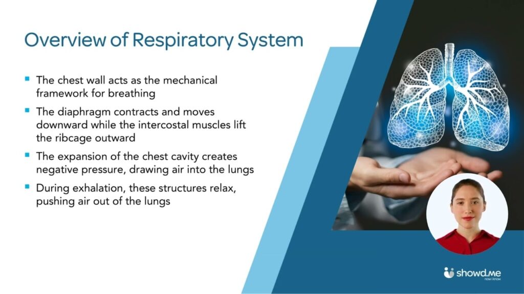 Basic Ventilator Management